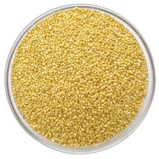 Organic Foxtail Millets - Unpolished